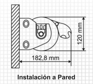 Pared
