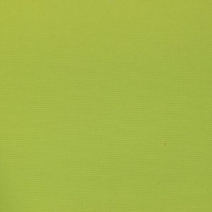 Verde Kiwi