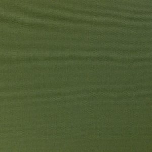 Verde Musgo